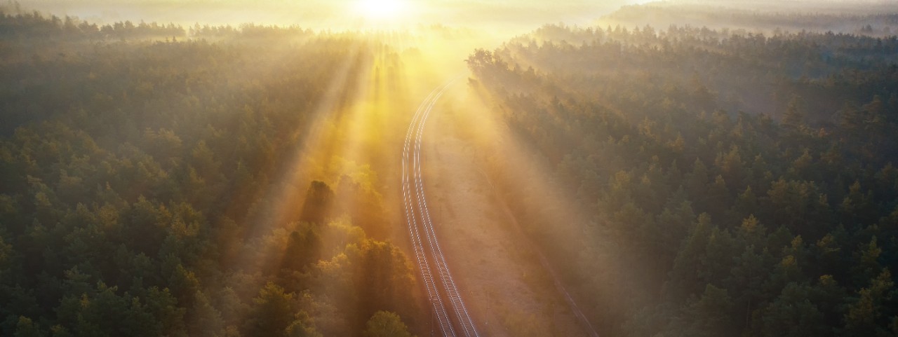 Railway in the summer morning forest at dawn. Wonderful summer landscape shot from a drone. The sun's rays shine through the fog and the branches of green pines.
